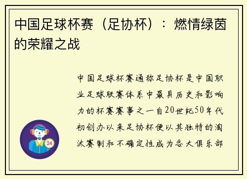 中国足球杯赛（足协杯）：燃情绿茵的荣耀之战