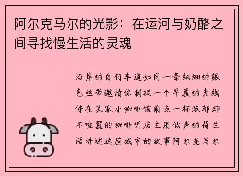 阿尔克马尔的光影：在运河与奶酪之间寻找慢生活的灵魂