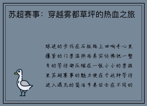 苏超赛事：穿越雾都草坪的热血之旅