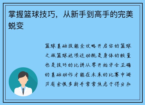 掌握篮球技巧，从新手到高手的完美蜕变
